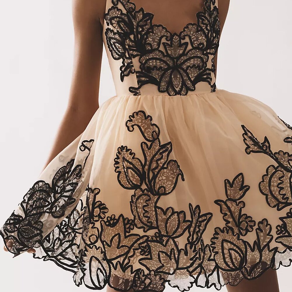 Anthropologie Maeve Sleeveless V-Neck Lace Fit And Flare Mini Dress Size 6 NWT - Picture 3 of 15